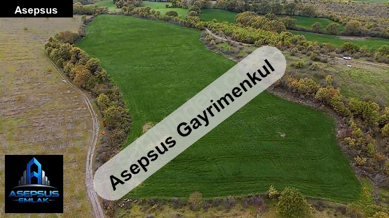 Asepsus Emlak'tan  çınarlı mh. 'sinde satılık arsa