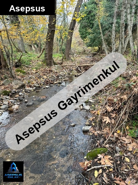 Asepsus Emlak'tan  söğüt mh. 'sinde satılık arsa