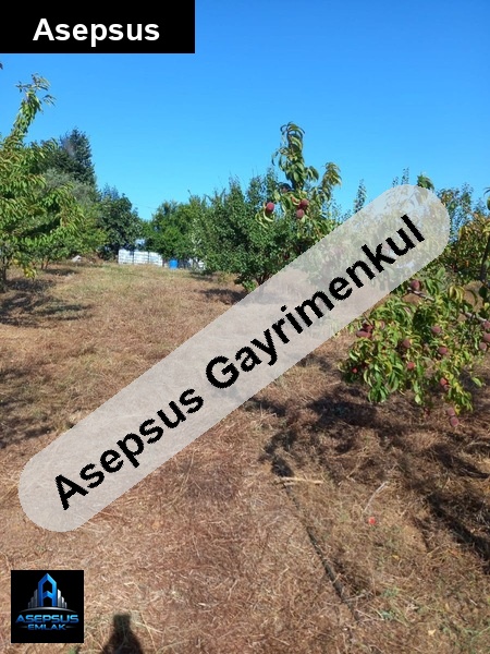 Asepsus Emlak'tan  erikli mh. 'sinde satılık arsa