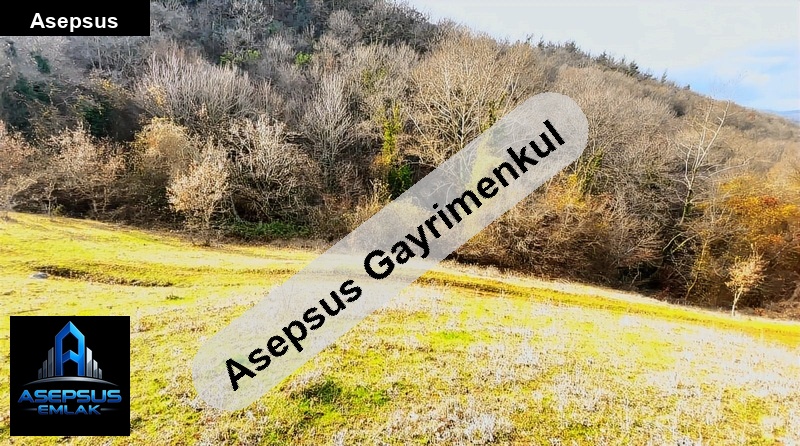 Asepsus Emlak'tan  ilıcaoba mh. 'sinde satılık arsa