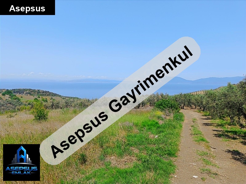 Asepsus Emlak'tan  misakça mh. 'sinde satılık arsa