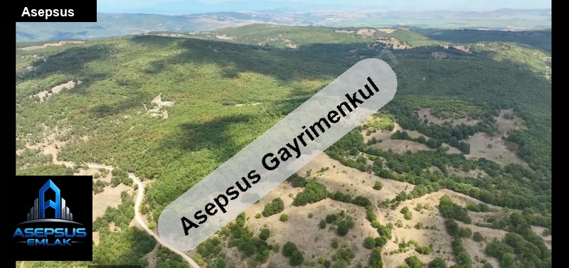 Asepsus Emlak'tan  dumanalan mh. 'sinde satılık arsa