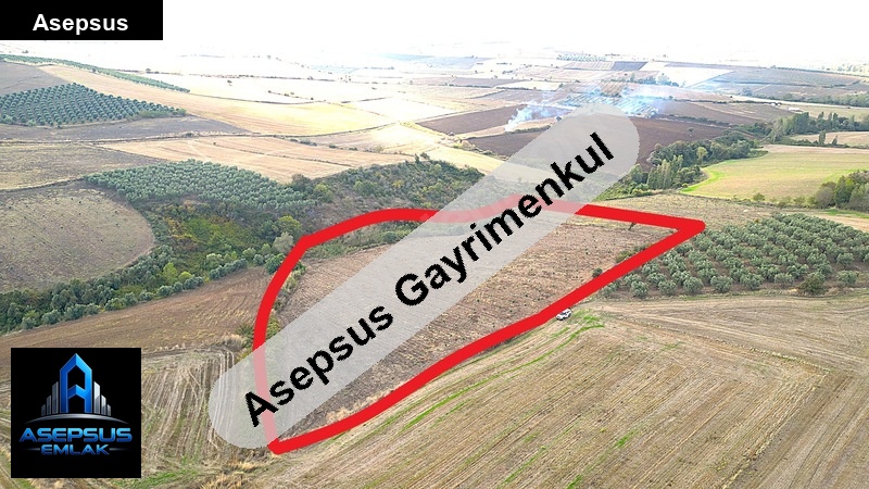Asepsus Emlak'tan  havutça mh. 'sinde satılık arsa