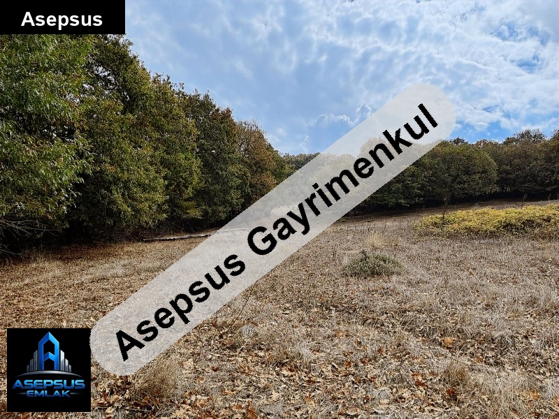 Asepsus Emlak'tan  alaşar mh. 'sinde satılık arsa