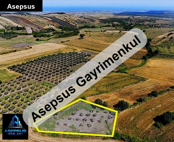 Asepsus Emlak'tan  turplu mh. 'sinde satılık arsa