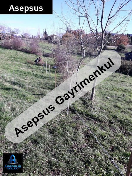 Asepsus Emlak'tan  dumanalan mh. 'sinde satılık arsa