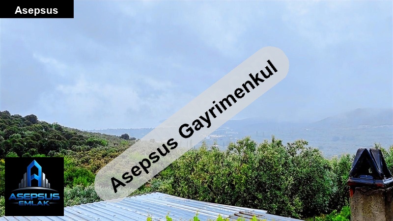 Asepsus Emlak'tan  zeytinli mah. 'sinde satılık arsa