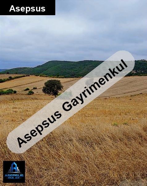Asepsus Emlak'tan  ilıca mh. 'sinde satılık arsa