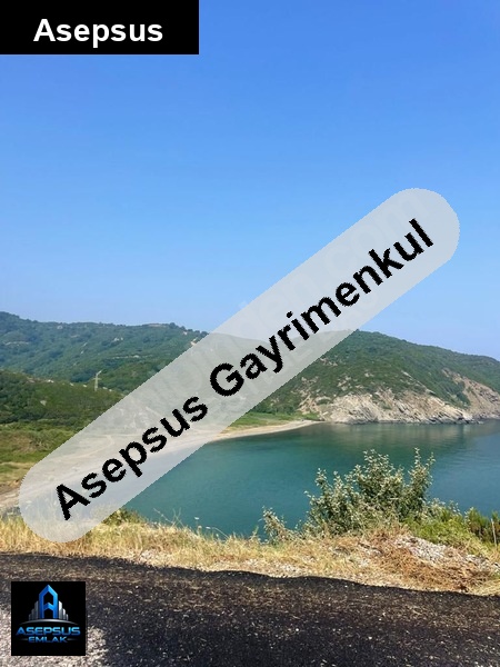 Asepsus Emlak'tan  ballıpınar mh. 'sinde satılık arsa