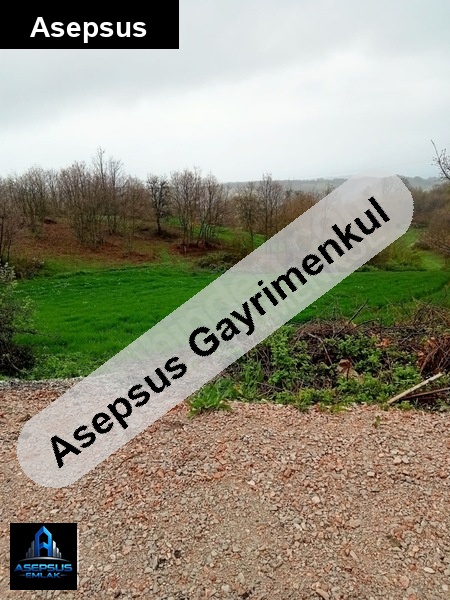 Asepsus Emlak'tan  koyuneri mh. 'sinde satılık arsa