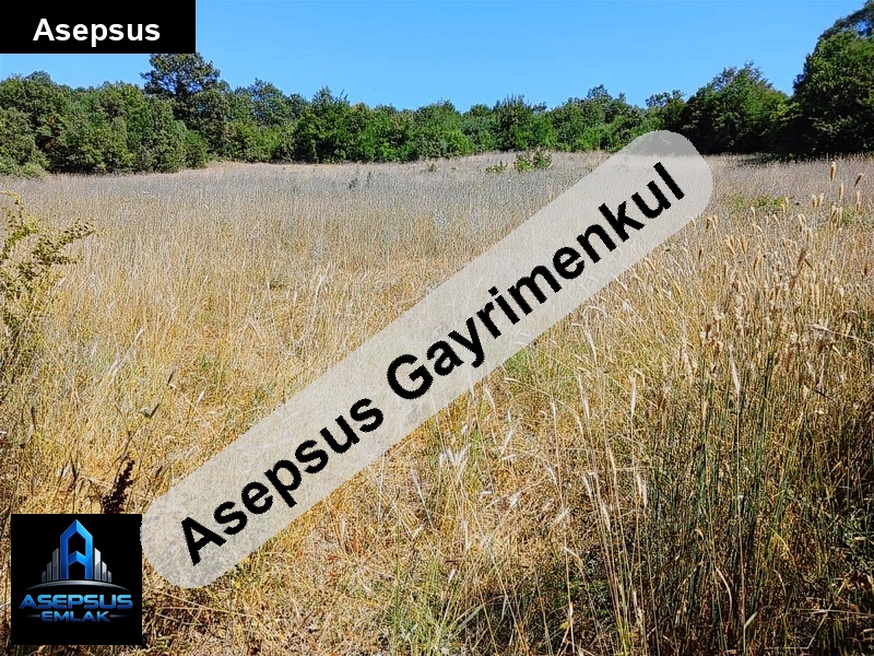 Asepsus Emlak'tan  orhanlar mh. 'sinde satılık arsa