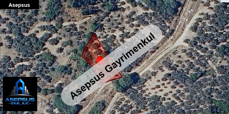 Asepsus Emlak'tan  belkıs mh. 'sinde satılık arsa