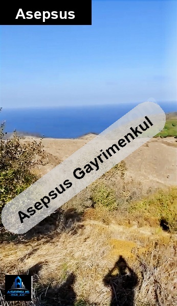 Asepsus Emlak'tan  kestanelik mh. 'sinde satılık arsa