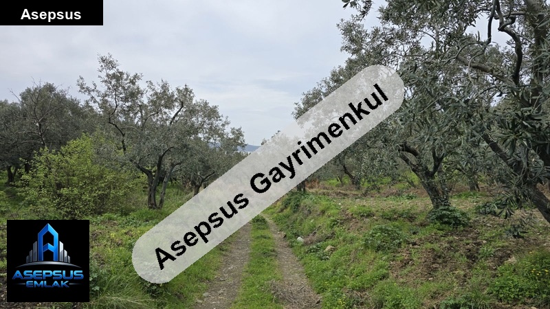 Asepsus Emlak'tan  narlı mh. 'sinde satılık arsa