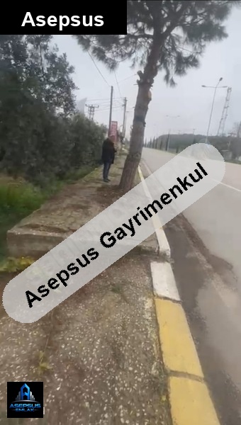 Asepsus Emlak'tan  alaettin mah. 'sinde satılık arsa