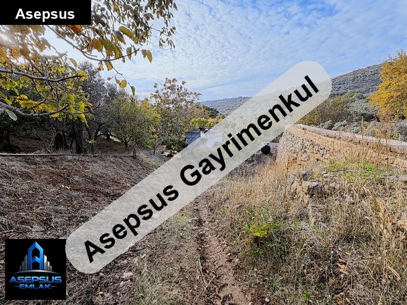 Asepsus Emlak'tan  atatürk mh. 'sinde satılık arsa