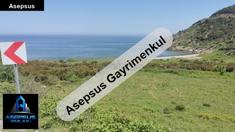 Asepsus Emlak'tan  ballıpınar mh. 'sinde satılık arsa