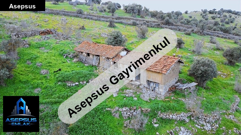 Asepsus Emlak'tan  dereköy mh. 'sinde satılık arsa