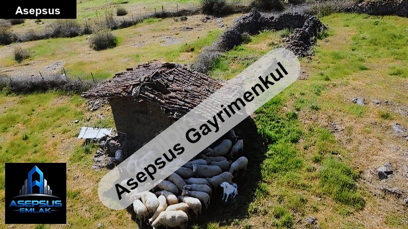 Asepsus Emlak'tan  dereköy mh. 'sinde satılık arsa