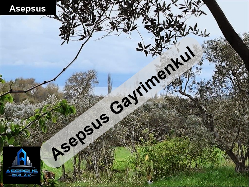 Asepsus Emlak'tan  atatürk mh. 'sinde satılık arsa