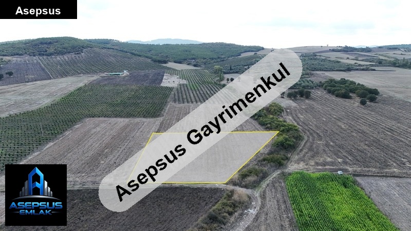 Asepsus Emlak'tan  bölceağaç mh. 'sinde satılık arsa