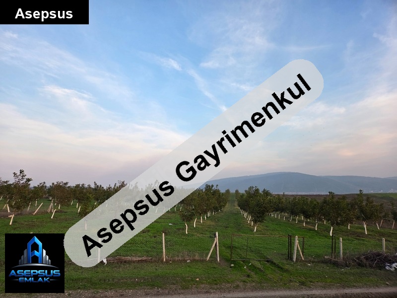 Asepsus Emlak'tan  çakırca mh. 'sinde satılık arsa