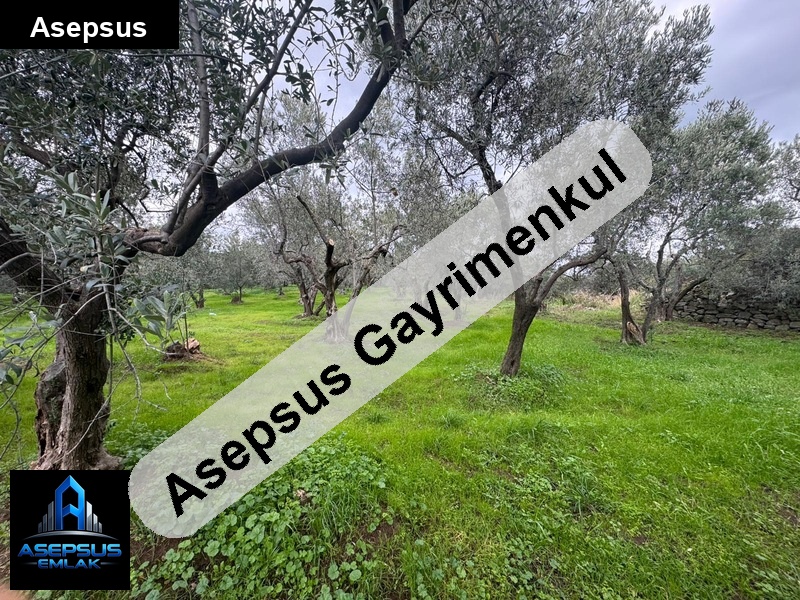 Asepsus Emlak'tan  hamamlı mh. 'sinde satılık arsa