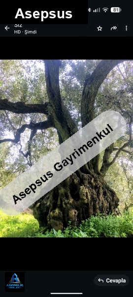 Asepsus Emlak'tan  aşağıyapıcı mh. 'sinde satılık arsa