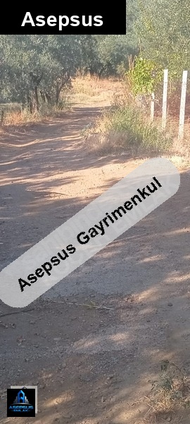 Asepsus Emlak'tan  atatürk mh. 'sinde satılık arsa