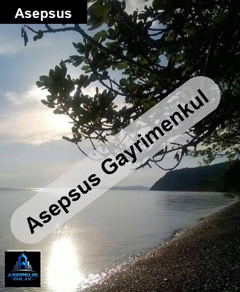 Asepsus Emlak'tan  sahil mah. 'sinde satılık arsa