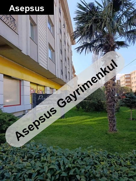 sahibinden paşakonak mah'de merkezi 3+1