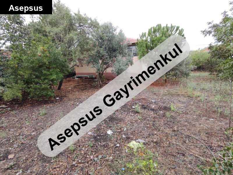 manyas salur'da satılık müstakil ev