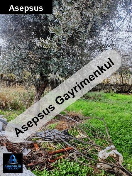 Asepsus Emlak'tan  çarşı mh. 'sinde satılık arsa