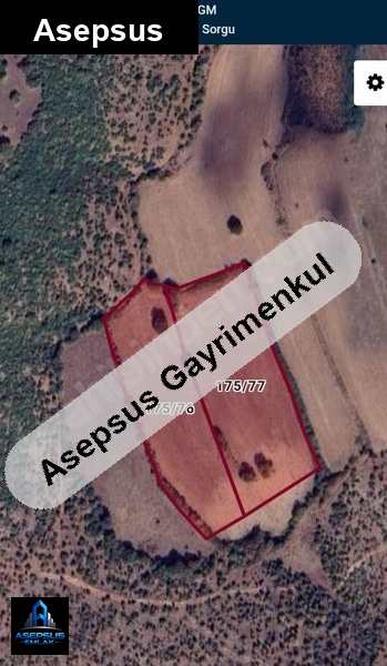 Asepsus Emlak'tan  doğanlar mh. 'sinde satılık arsa