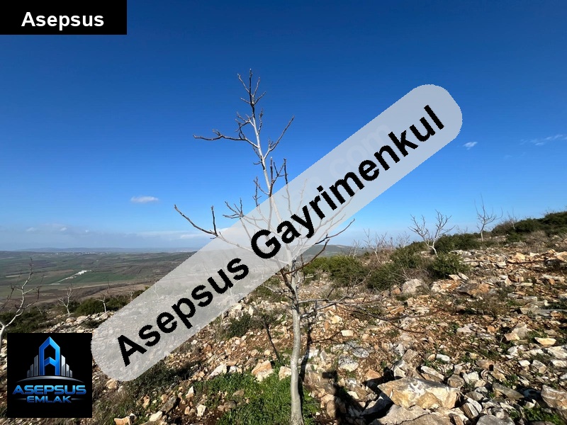 Asepsus Emlak'tan  hacıyakup mh. 'sinde satılık arsa