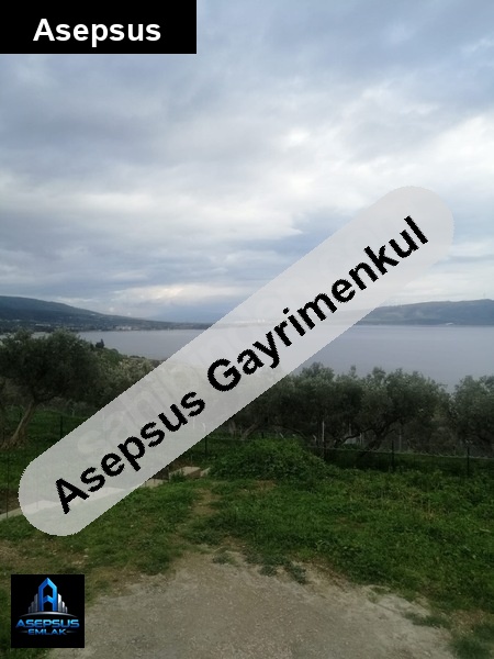 Asepsus Emlak'tan  zeytinli mah. 'sinde satılık arsa