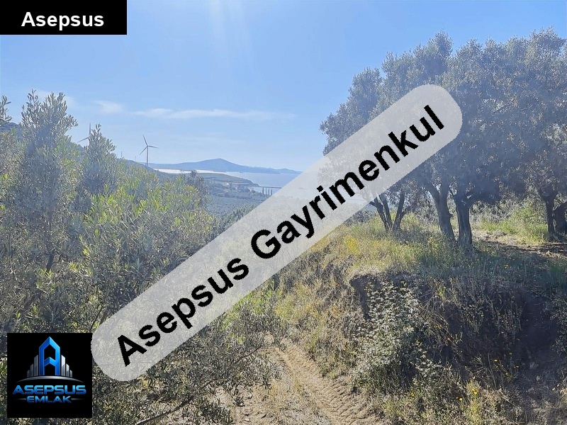 Asepsus Emlak'tan  i̇lhan mh. 'sinde satılık arsa