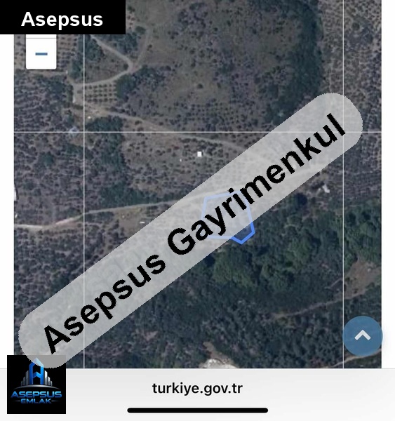 Asepsus Emlak'tan  narlı mh. 'sinde satılık arsa