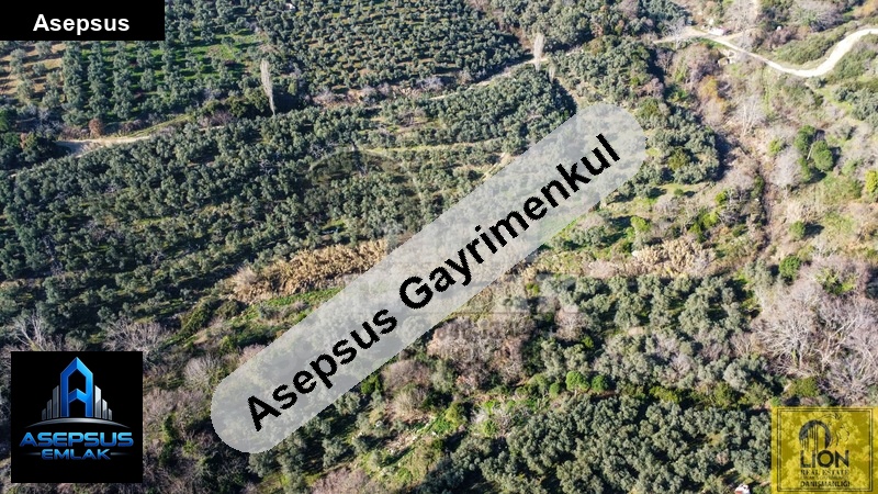 Asepsus Emlak'tan  hamamlı mh. 'sinde satılık arsa