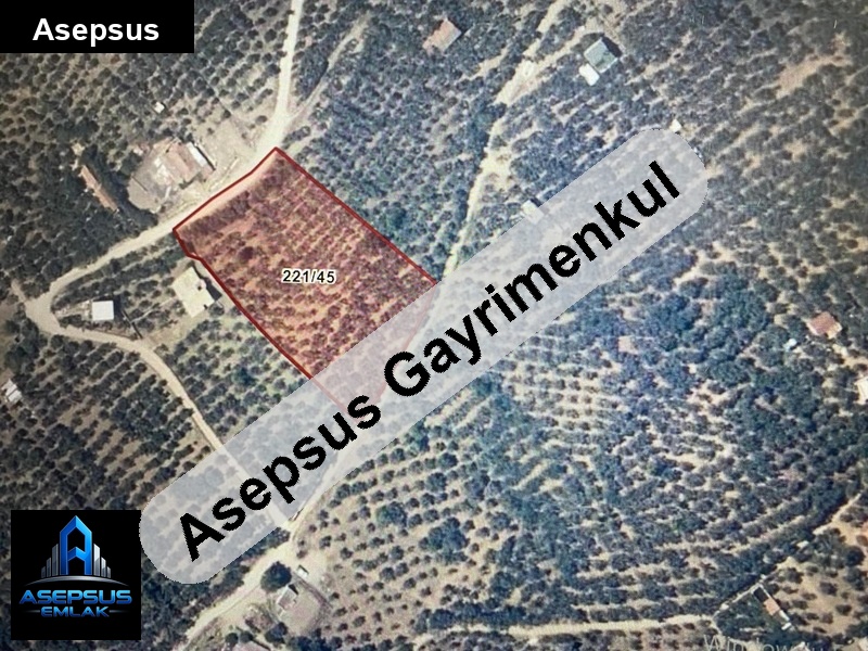 Asepsus Emlak'tan  atatürk mh. 'sinde satılık arsa