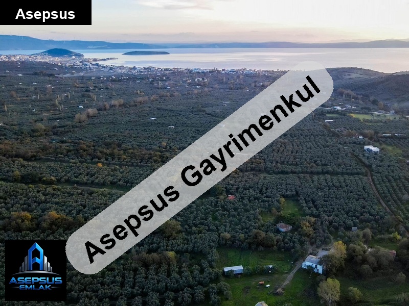 Asepsus Emlak'tan  sahil mah. 'sinde satılık arsa