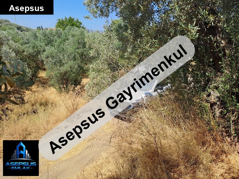 Asepsus Emlak'tan  i̇lhan mh. 'sinde satılık arsa