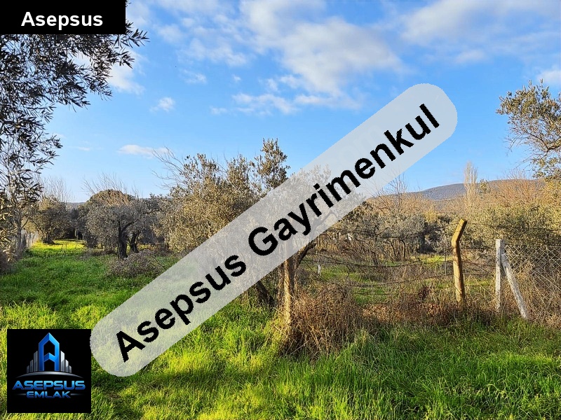 Asepsus Emlak'tan  zeytinli mah. 'sinde satılık arsa