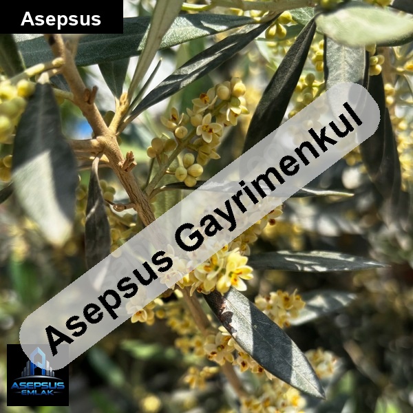 Asepsus Emlak'tan  alaettin mah. 'sinde satılık arsa