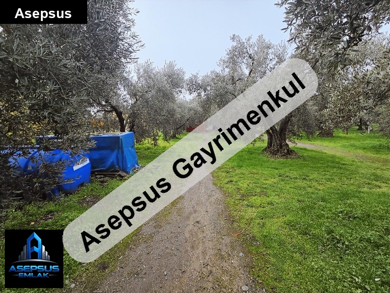 Asepsus Emlak'tan  sahil mah. 'sinde satılık arsa