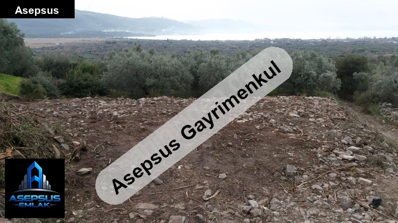 Asepsus Emlak'tan  hamamlı mh. 'sinde satılık arsa