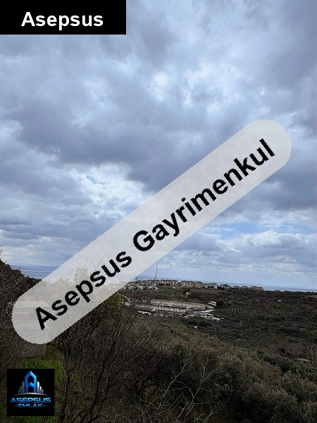 Asepsus Emlak'tan  alaettin mah. 'sinde satılık arsa