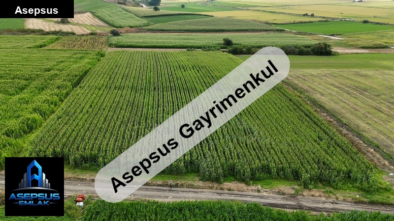 Asepsus Emlak'tan  çavuşköy mh. 'sinde satılık arsa
