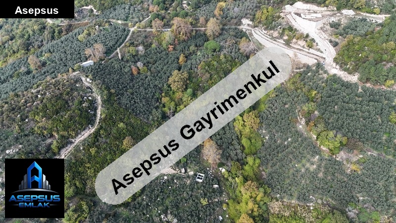 Asepsus Emlak'tan  ocaklar mh. 'sinde satılık arsa