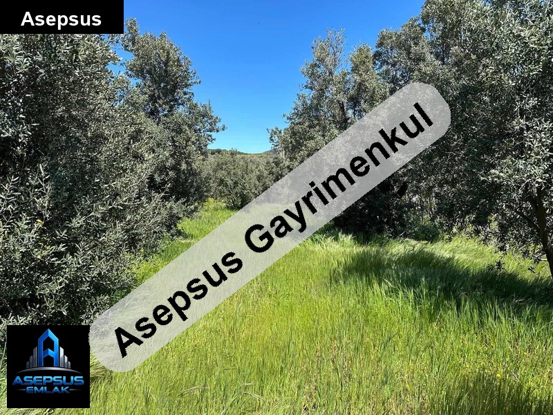 Asepsus Emlak'tan  çeltikçi mh. 'sinde satılık arsa